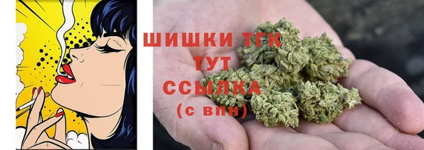 шишки Армянск