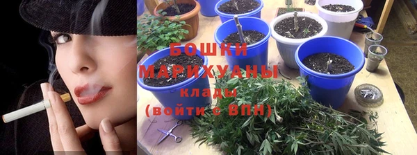 шишки Армянск
