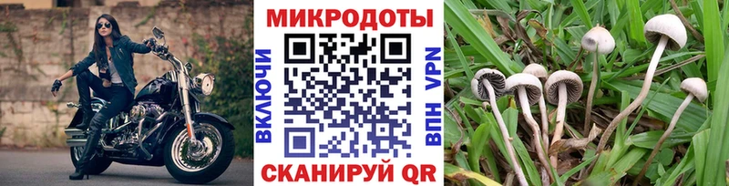 Псилоцибиновые грибы мухоморы  Чернушка 