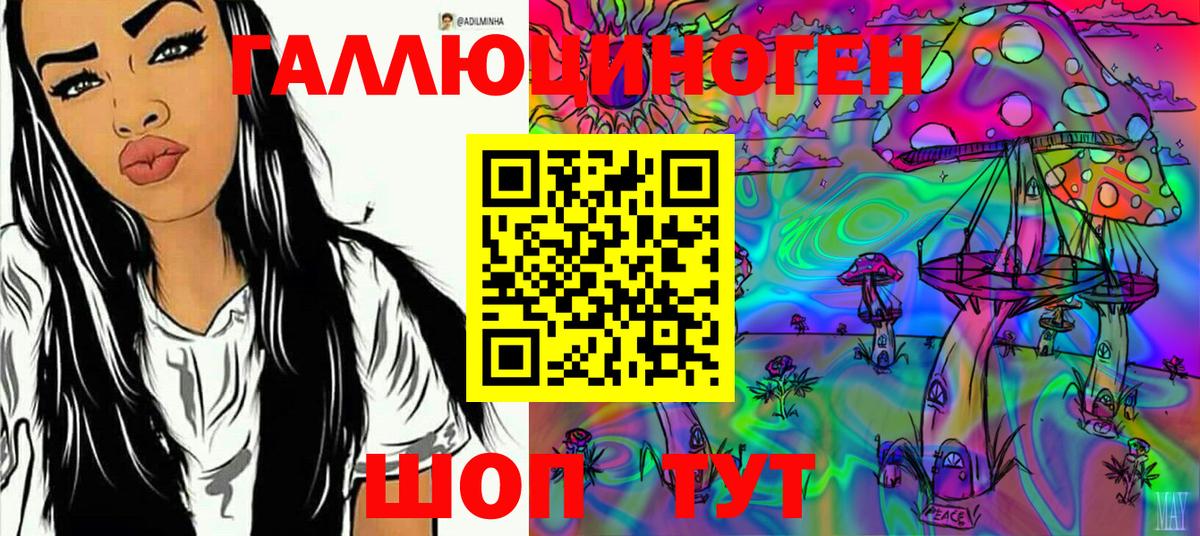 Галлюциногенные грибы MAGIC MUSHROOMS Чернушка