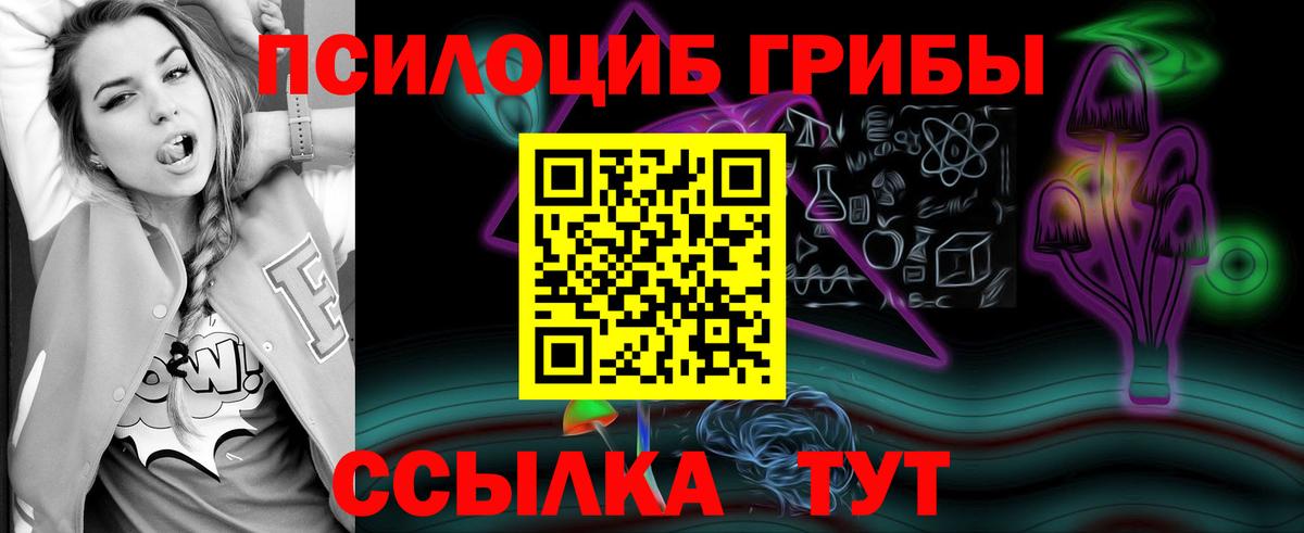 Псилоцибиновые грибы Cubensis  Вход с VPN  Галлюциногенные грибы Psilocybe  Чернушка 